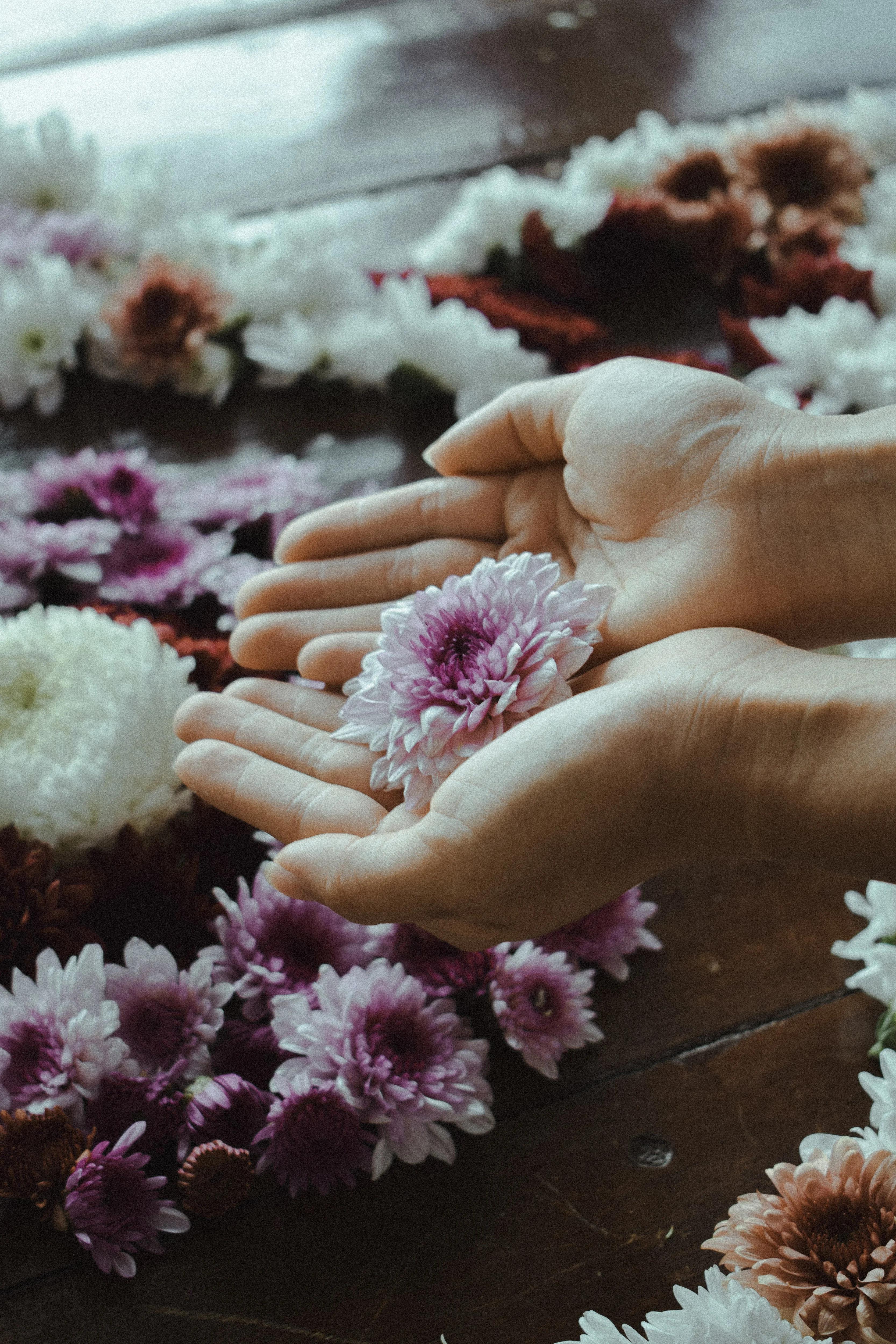 Outdoor Charity Yoga